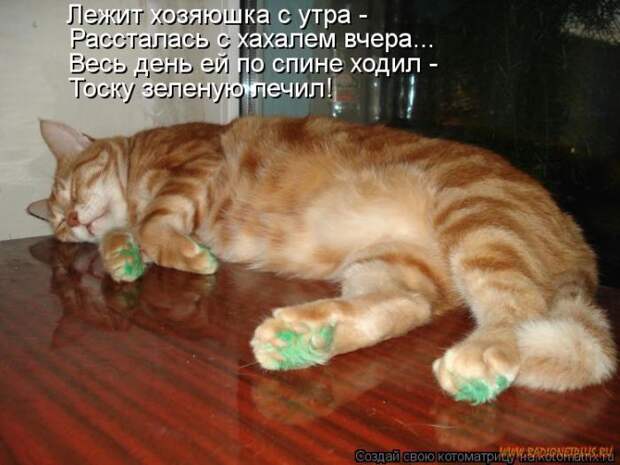 Уфф!!! Ну наконец-то! Котоматрицы великолепные, каждая с улыбкой и хорошим настроением!