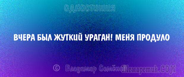 Одностишия, подтверждающие, что краткость – сестра таланта
