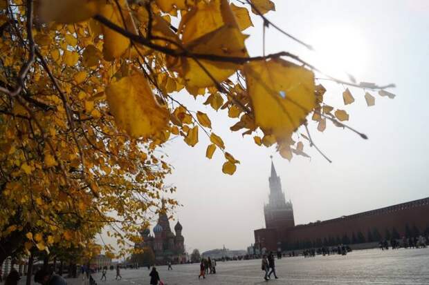 Синоптик Шувалов спрогнозировал москвичам теплую погоду на выходные