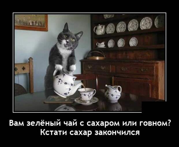 Демотиваторы 27 апреля 2021