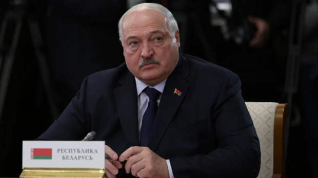 Дошло до угроз: Журналист извинился перед Лукашенко за опрометчивые слова