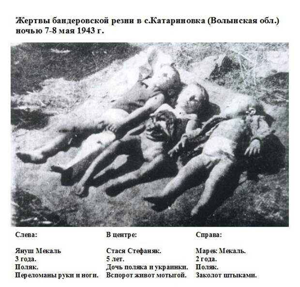 Бандеровцы