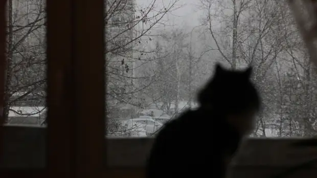 Врач Карабиненко напомнил о негативном влиянии холодного воздуха на здоровье