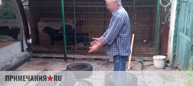 Крымчанина осудили за совершенное его собаками убийство ребенка