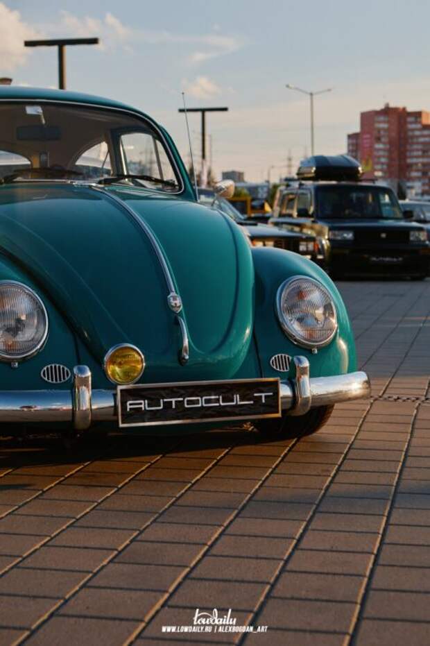 autocult fest 2024 135