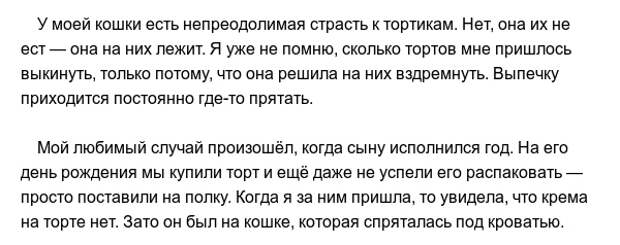 Забавные привычки наших любимых питомцев Забавные привычки наших любимых питомцев