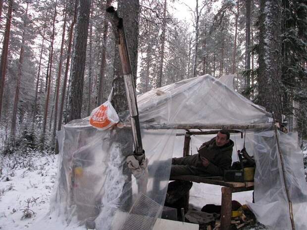 Отпуск в лесу