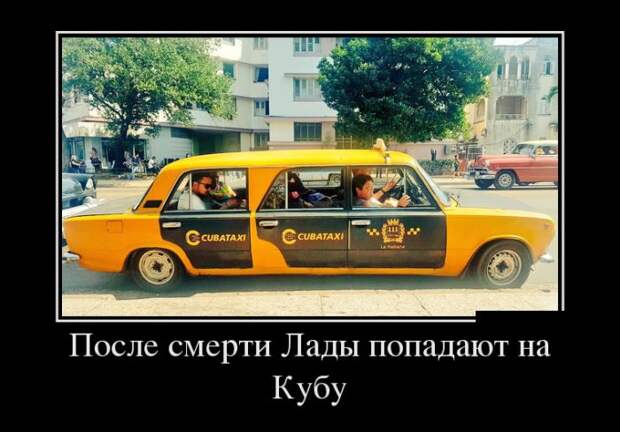 Демотиваторы (30 фото)