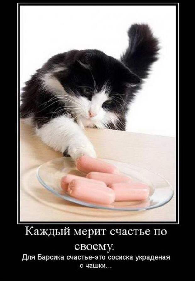 Смешные и забавные демотиваторы 