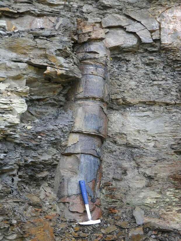 Топливный трубопровод возрастом 150 000 лет найден в труднодоступном районе Китая