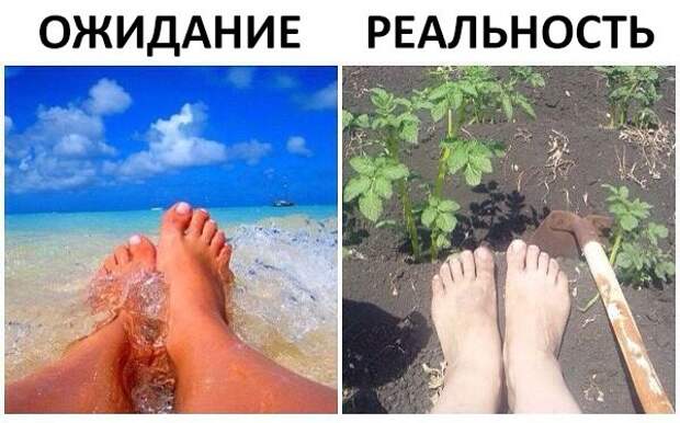 Смешные и пошлые картинки  комментарии, переписка, смс, соц. сети, юмор