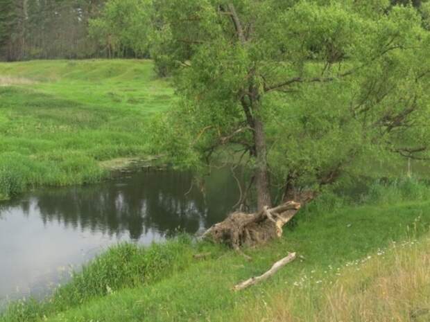 В Кузбассе подготовили пункты временного размещения на период паводка