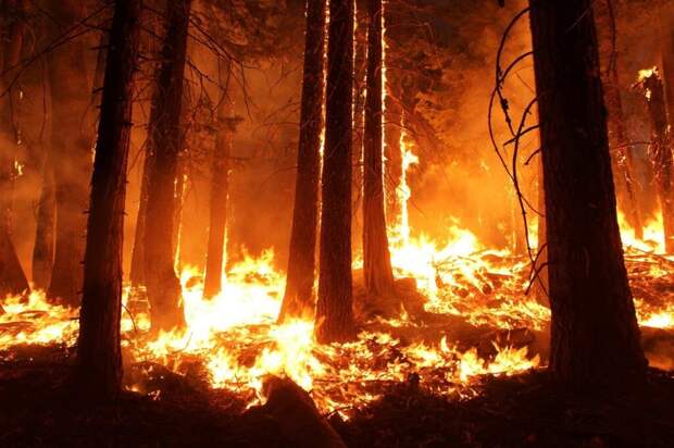 В Якутии и Челябинской области введен режим ЧС из-за лесных пожаров