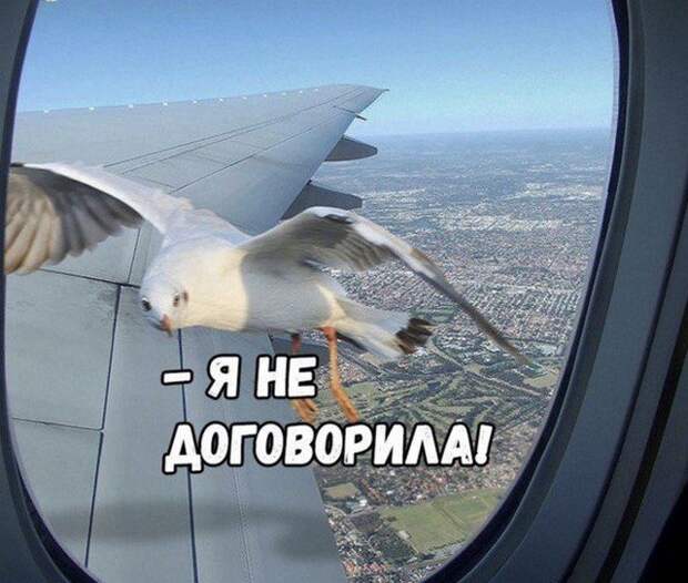 Лучшие шутки и мемы из Сети