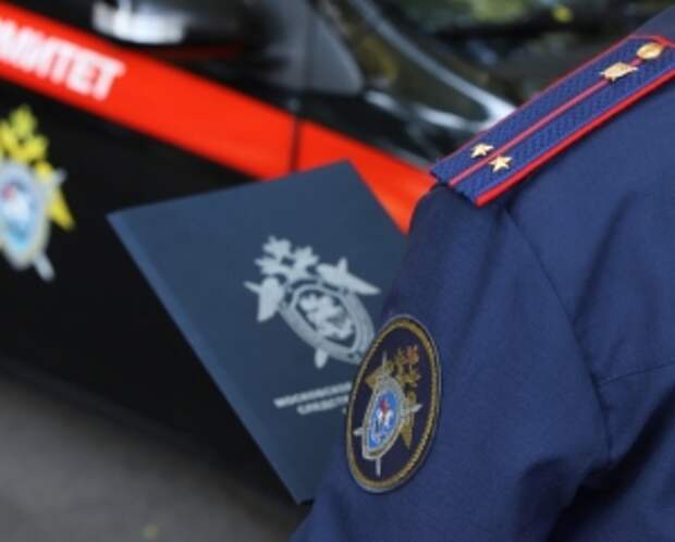 Председатель Следственного комитета России поручил представить доклад по информации о совершении противоправных действий в отношении несовершеннолетнего в Воронежской области