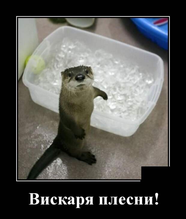 www.vsyako.net