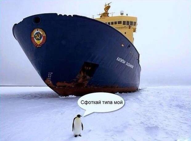Свежая подборка автоприколов авто, автоприколы, приколы