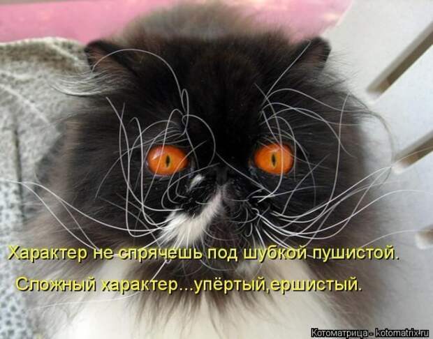 Мысли вслух :) #050614