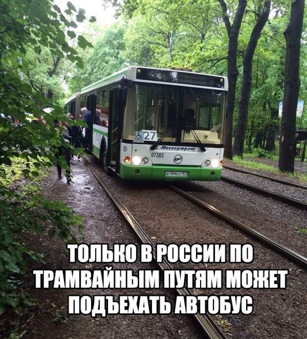 Смешные картинки с надписями прикол, юмор