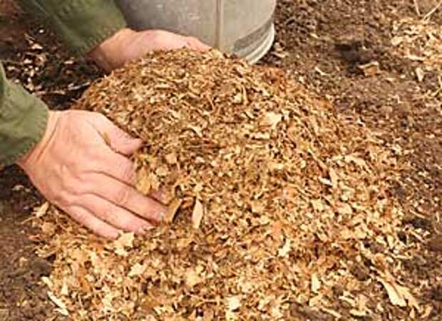 Посадка картофеля под старые листья посадка картофеля 6