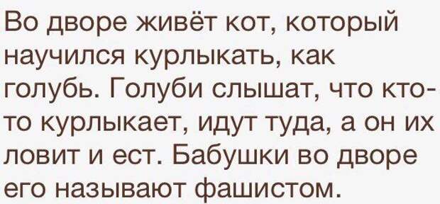 Веселые картинки с надписями для настроения (11 фото) Веселые картинки с надписями для настроения (11 фото)