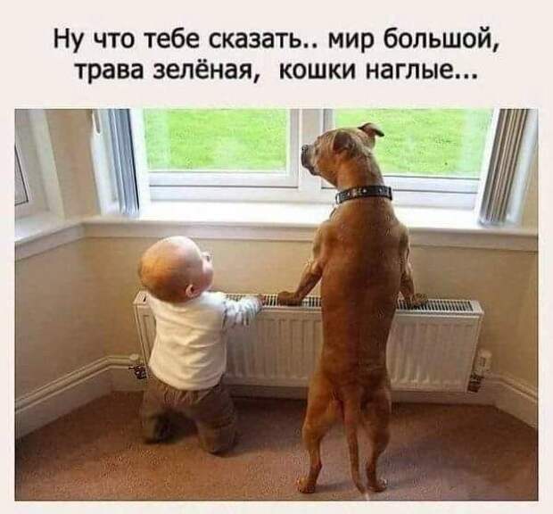 Новая подборка прикольных картинок  (50 фото)