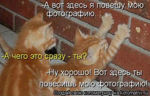 Котоматрицы(картинки с надписями)