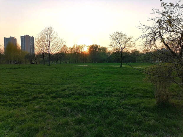 Сколько стоит вся земля в России? В правительстве дали ответ