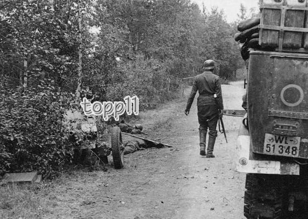 3. Погибший расчёт 45-мм. противотанкового орудия,оседлавшего дорогу Слоним-Волковыск,чтобы прикрыть отход товарищей.Конец июня 1941 г.;