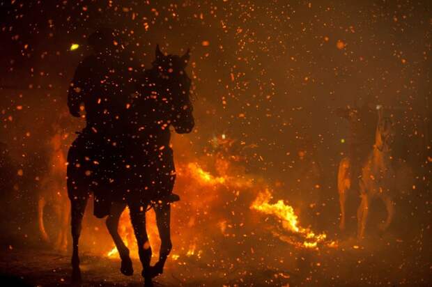 Лошадь на фоне огня