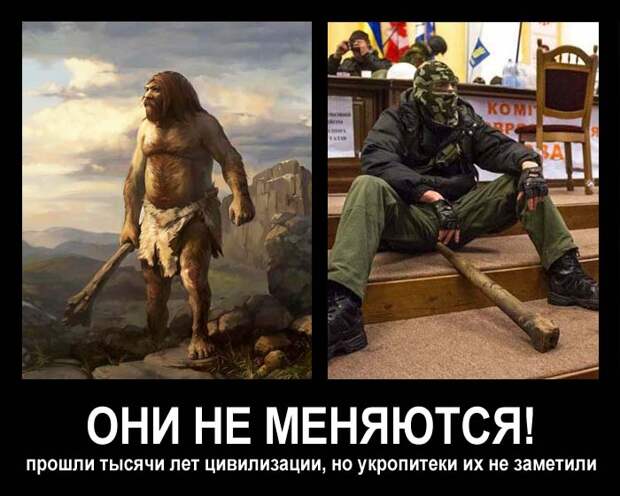 Хохляндия сошла с ума!