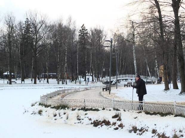 Опрос о благоустройстве Лианозовского парка и территории усадьбы Алтуфьево начался в сети Фото: Галина Погодина