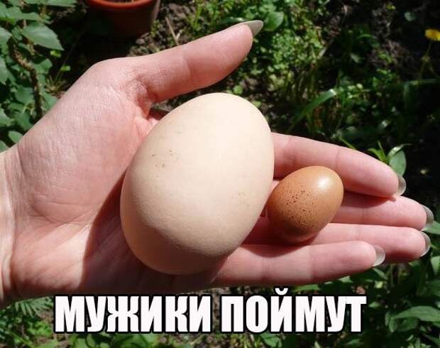 Смешные картинки с надписями приколы, смешные картинки, юмор