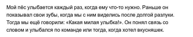 Забавные привычки наших любимых питомцев Забавные привычки наших любимых питомцев