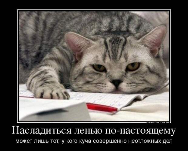 Весёлые демотиваторы (65 фото)
