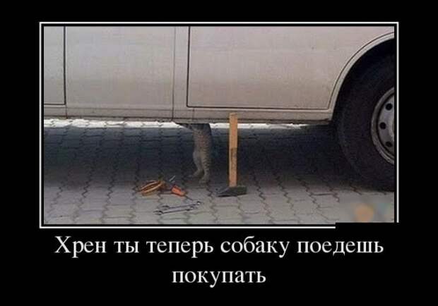 Главное верить!