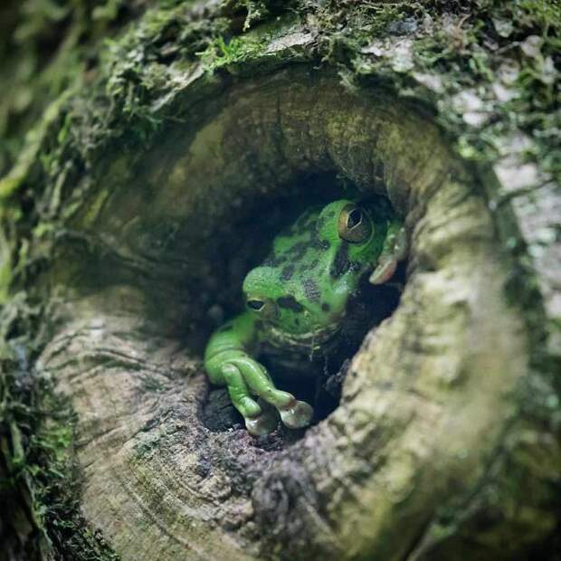 Природа Японии в фотографиях Кунито Имаи (Kunito Imai)