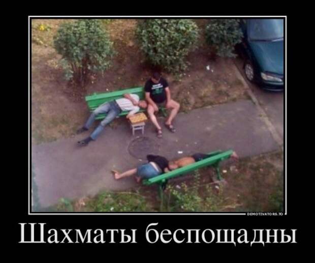 Сборник свежих демотиваторов (12 шт)