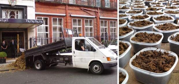 Анонимный подарок врагам от Shitexpress