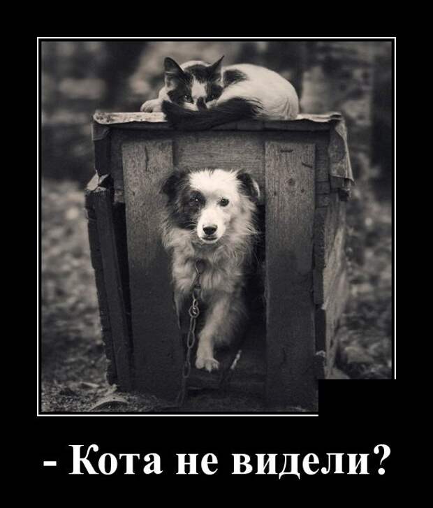 www.vsyako.net