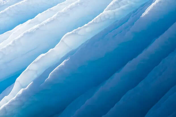 Bigpicture ru 12