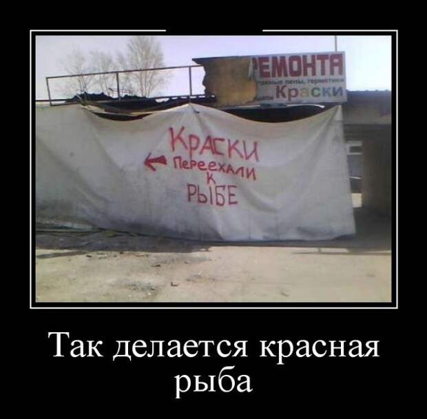 Демотиваторы (30 фото)