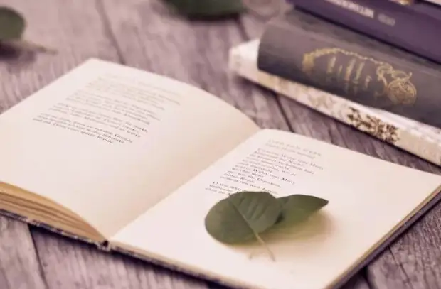 Книги лучше всего лечат от депрессии