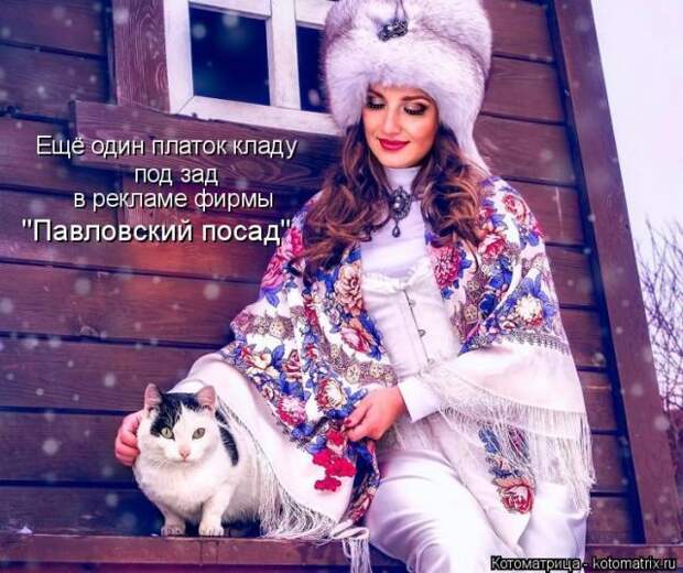 Лучшие котоматрицы недели (50 фото)