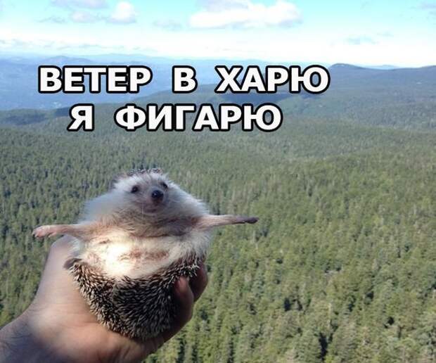 S_KTxA6o-Vg