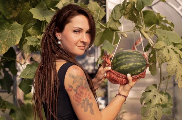 Садовод Казакова рассказала, как вырастить вкусные арбузы в Подмосковье