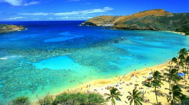 Картинки по запросу "Гавайские острова"