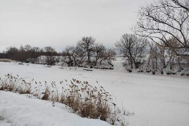 Календарная весна в Тамбове начнётся с плюсовой температуры