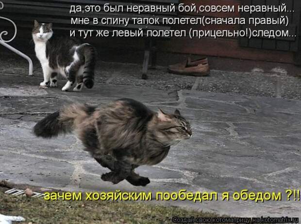 Мысли вслух :)