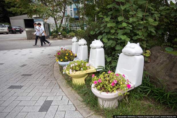 Парк какашек в Южной Корее какашка, маразм, парк, южная корея